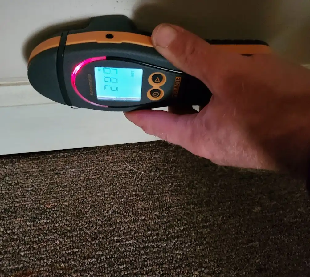Moisture detection at baseboard during Sewage Cleanup & Sanitation in Eden